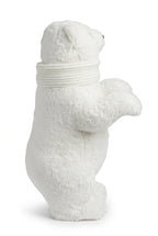 REF  SKD005 OSO 27X23X50CM  CM