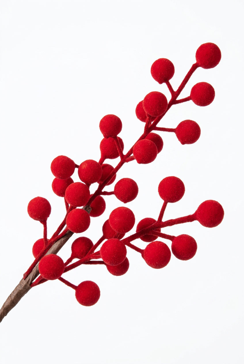 REF FLM00340R BERRY ROJO