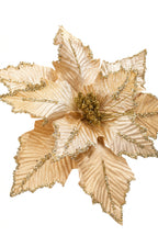 FLOR GRANDE NAVIDEÑA