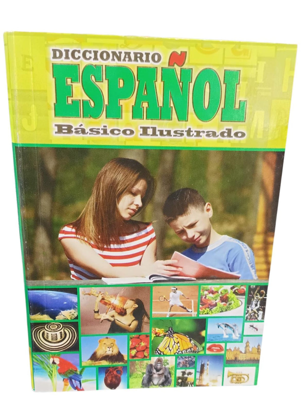Diccionario Básico Español